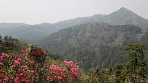 五月份适合爬什么山?蕲春这个天气穿多少衣服合适-图2 五月份适合爬什么山?蕲春这个天气穿多少衣服合适-图2