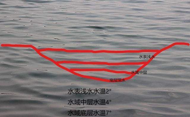五月底鱼在深水区还是浅水区?五月温度大约是多少-图1 五月底鱼在深水区还是浅水区?五月温度大约是多少-图1