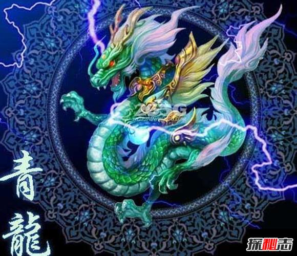 青龙的养殖条件?青龙的温度是多少-图2 青龙的养殖条件?青龙的温度是多少-图2