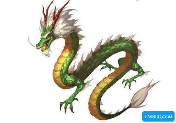 青龙的养殖条件?青龙的温度是多少-图1 青龙的养殖条件?青龙的温度是多少-图1
