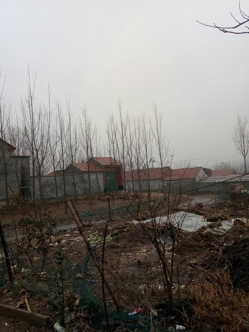 山东省临沂市沂水县马站镇祉村邮编是什么?浙江苍南马站的邮编是多少-图1 山东省临沂市沂水县马站镇祉村邮编是什么?浙江苍南马站的邮编是多少-图1