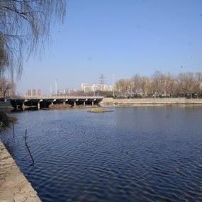 白桥镇的水库什么时候动工?天气预报明天多少度商河-图3 白桥镇的水库什么时候动工?天气预报明天多少度商河-图3