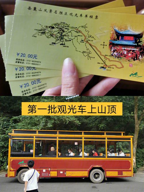 岳麓山买票攻略?岳麓山观光车学生票多少钱-图3 岳麓山买票攻略?岳麓山观光车学生票多少钱-图3