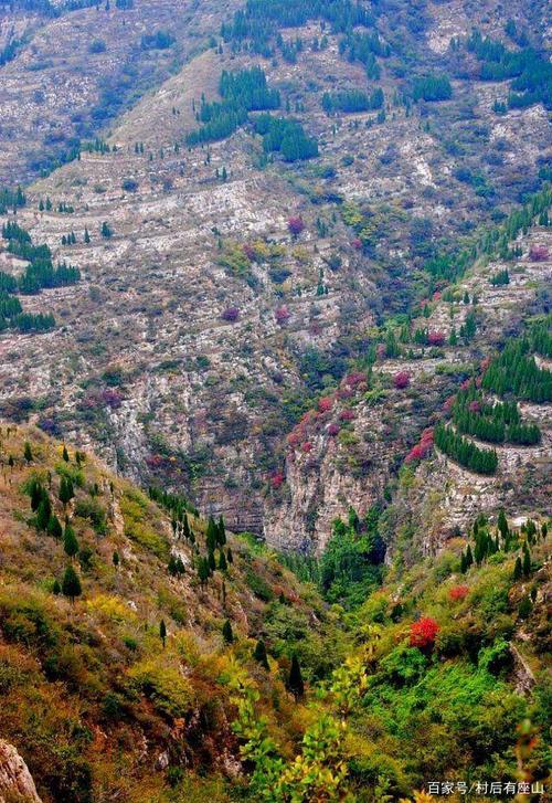 淄博有什么好玩的山,好想去爬山?博山到磁村多少公里-图1 淄博有什么好玩的山,好想去爬山?博山到磁村多少公里-图1
