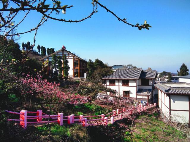 龙泉驿夏天好玩的地方?成都龙泉的温度是多少-图2 龙泉驿夏天好玩的地方?成都龙泉的温度是多少-图2