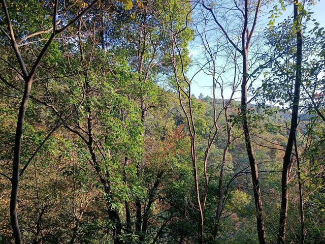 山上为什么冬暖夏凉?冬天山上多少度-图3 山上为什么冬暖夏凉?冬天山上多少度-图3