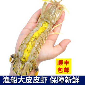 渤海几月是海鲜季节?渤海皮皮虾海水多少温度-图3 渤海几月是海鲜季节?渤海皮皮虾海水多少温度-图3