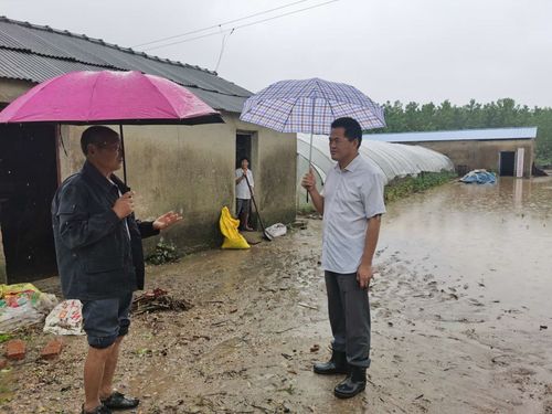 安徽明光市特产是身上?明光古沛镇房价多少钱一平方-图1 安徽明光市特产是身上?明光古沛镇房价多少钱一平方-图1