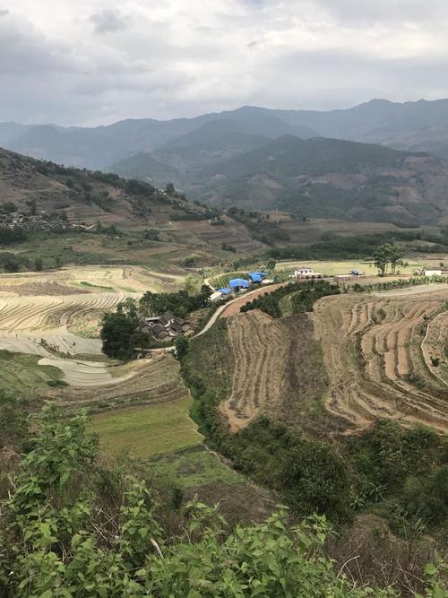 临沧四季的气候特征有那些?临沧地区的气候是多少-图1 临沧四季的气候特征有那些?临沧地区的气候是多少-图1