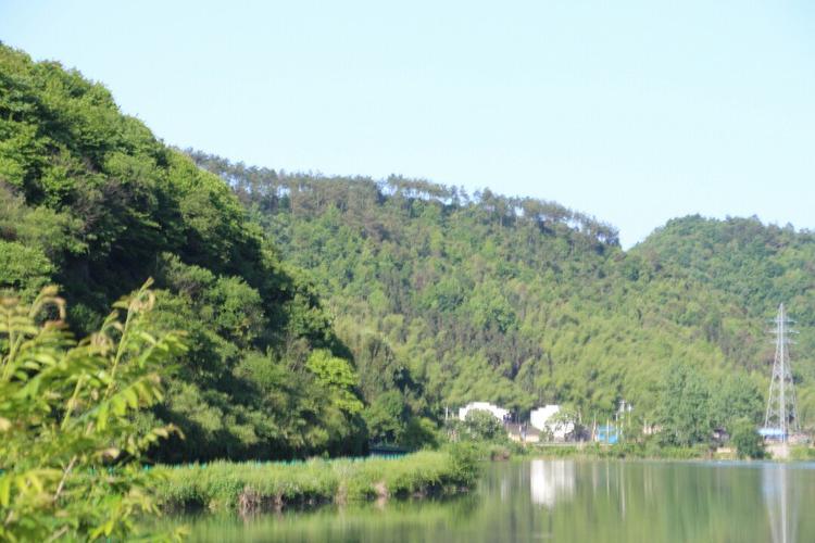 茂林在什么地方?泾县茂林镇房子多少钱一平方-图3 茂林在什么地方?泾县茂林镇房子多少钱一平方-图3