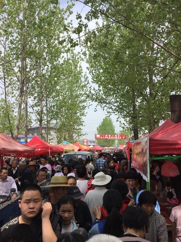 上蔡县最大的乡镇集市?上蔡到齐海多少公里-图1 上蔡县最大的乡镇集市?上蔡到齐海多少公里-图1