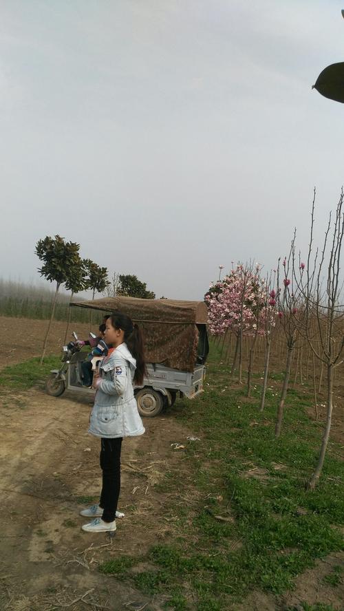 上蔡县最大的乡镇集市?上蔡到齐海多少公里-图3 上蔡县最大的乡镇集市?上蔡到齐海多少公里-图3