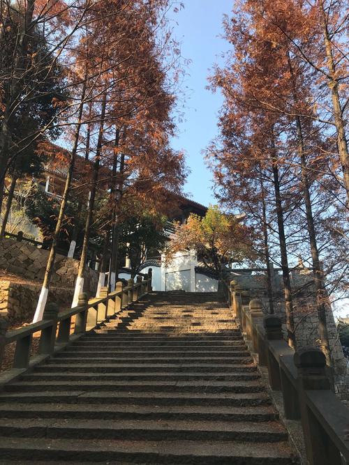 温州茶山校区附近有什么地方好玩?五美园景区多少钱-图3 温州茶山校区附近有什么地方好玩?五美园景区多少钱-图3