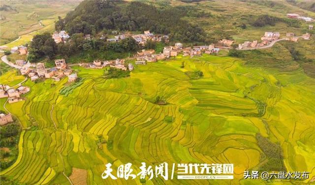 新民的人口是多少?贵州盘州新民镇有多少人口-图2 新民的人口是多少?贵州盘州新民镇有多少人口-图2