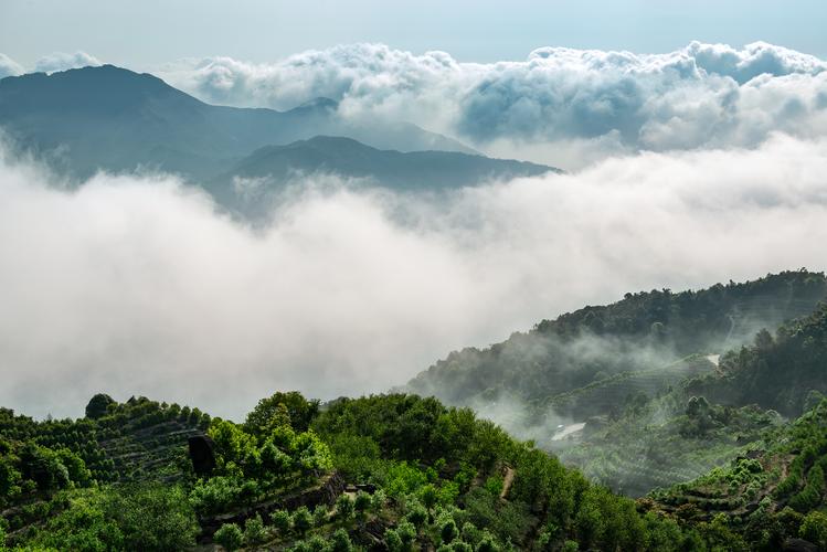 潮州凤凰山天气热吗?潮州最高气温是多少-图1 潮州凤凰山天气热吗?潮州最高气温是多少-图1