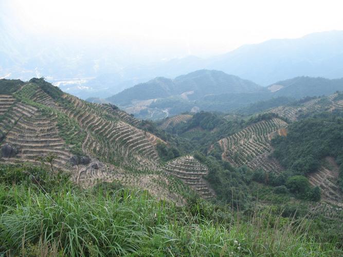 潮州凤凰山天气热吗?潮州最高气温是多少-图3 潮州凤凰山天气热吗?潮州最高气温是多少-图3