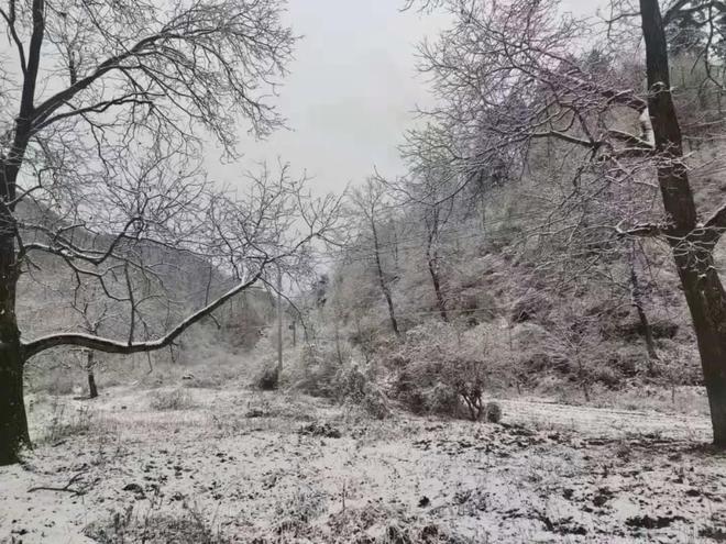 2020年陕西延安第一场雪是什么时候下的?宝鸡陇县最冷温度是零下多少-图3 2020年陕西延安第一场雪是什么时候下的?宝鸡陇县最冷温度是零下多少-图3