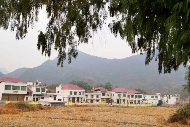 江西剩女最多地方是哪?九江修水白岭多少个村-图1 江西剩女最多地方是哪?九江修水白岭多少个村-图1