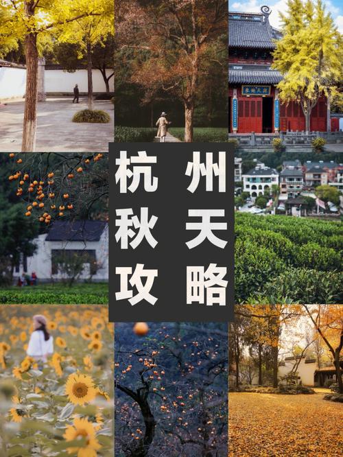 2021杭州的秋天多少度?杭州现在多少度了-图2 2021杭州的秋天多少度?杭州现在多少度了-图2