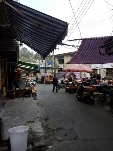 福鼎有多少乡镇?福建省福鼎市佳阳乡多少人口-图2 福鼎有多少乡镇?福建省福鼎市佳阳乡多少人口-图2