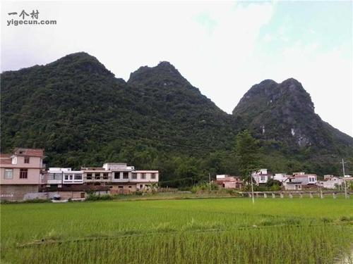 广西平果凤梧人口有多少?平果县城到榜圩多少个村-图1 广西平果凤梧人口有多少?平果县城到榜圩多少个村-图1