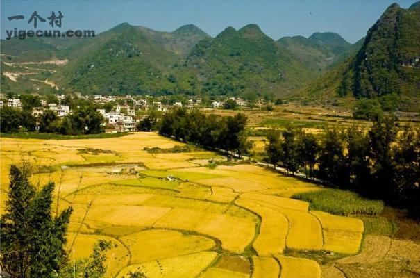 广西平果凤梧人口有多少?平果县城到榜圩多少个村-图2 广西平果凤梧人口有多少?平果县城到榜圩多少个村-图2