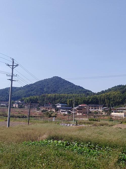 湖北省荆门市京山县三阳镇九峰村邮编是什么?京山三阳镇有多少个村民委员会-图2 湖北省荆门市京山县三阳镇九峰村邮编是什么?京山三阳镇有多少个村民委员会-图2