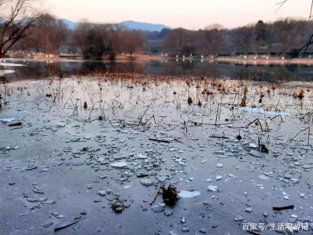 零下一度会结冰吗?正常天气零下多少度-图3 零下一度会结冰吗?正常天气零下多少度-图3