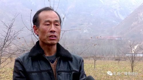 礼县盐官镇有多少人口?礼县白河镇人口多少-图3 礼县盐官镇有多少人口?礼县白河镇人口多少-图3