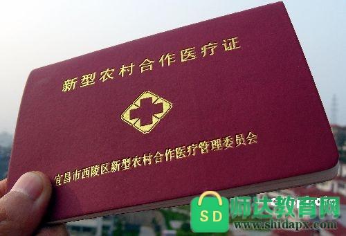 农村合作医疗怎么缴费辽宁三月份可以交吗?辽宁三月份一般多少度-图2 农村合作医疗怎么缴费辽宁三月份可以交吗?辽宁三月份一般多少度-图2