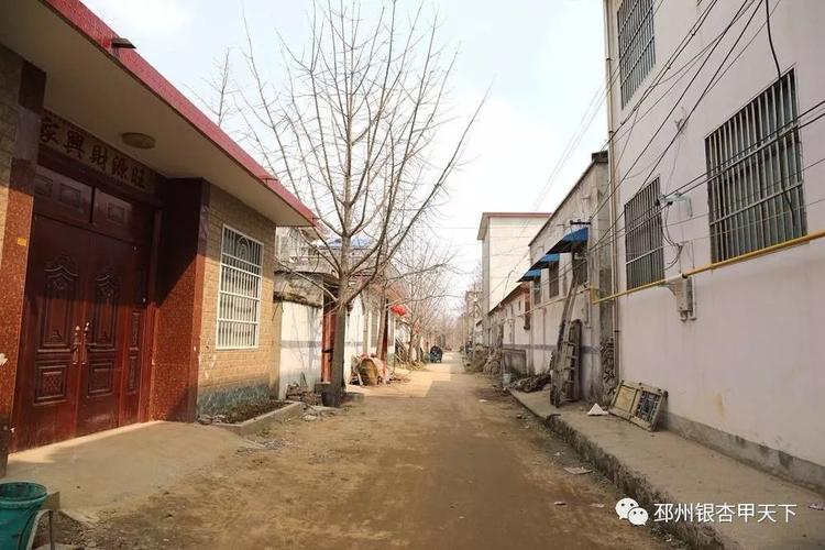 邳州邹庄卞湖村有多少姓卞的?邳州邹庄镇人口多少-图3 邳州邹庄卞湖村有多少姓卞的?邳州邹庄镇人口多少-图3