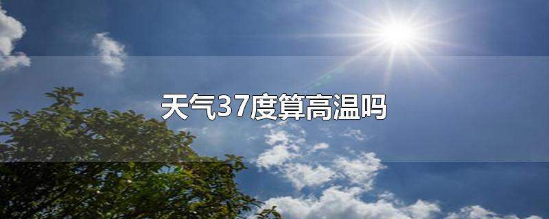 最高气温37度是什么意思?气温达到多少或超过多少称为高温-图3 最高气温37度是什么意思?气温达到多少或超过多少称为高温-图3