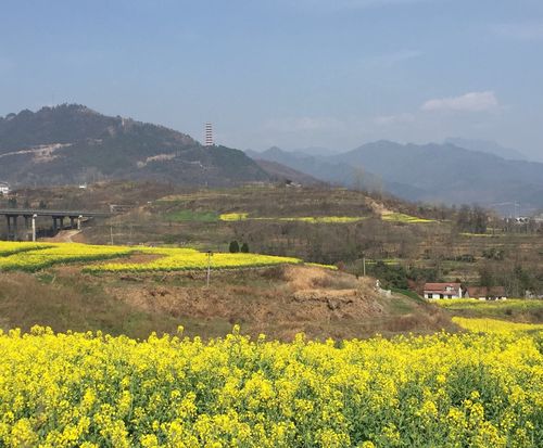 陕西勉县红旗公社现在叫什么乡镇?陕西勉县长林镇六月份气温多少度-图2 陕西勉县红旗公社现在叫什么乡镇?陕西勉县长林镇六月份气温多少度-图2