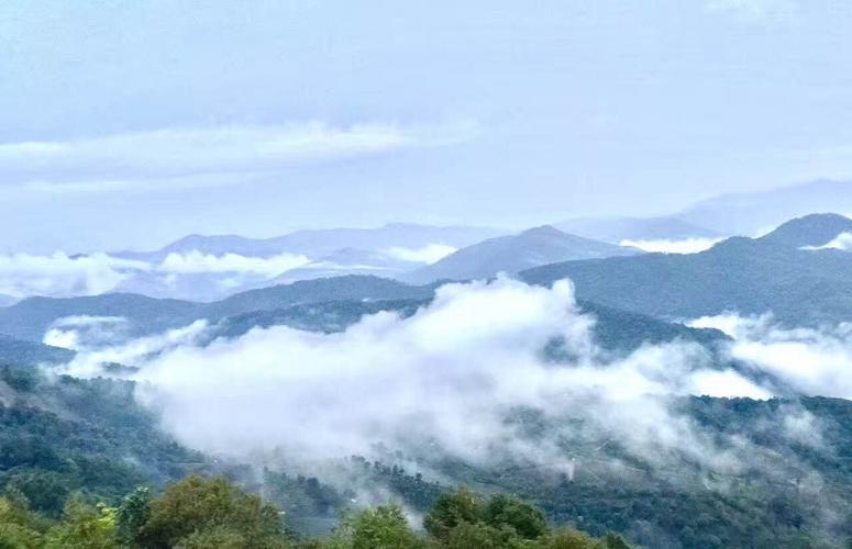 景迈山七月气温?勐腊县今天气温多少度-图3 景迈山七月气温?勐腊县今天气温多少度-图3