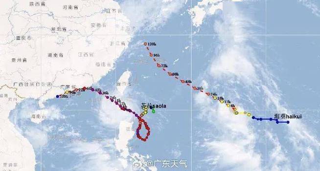 身份证440623是什么地方?顺德区最大的台风是多少级-图3 身份证440623是什么地方?顺德区最大的台风是多少级-图3
