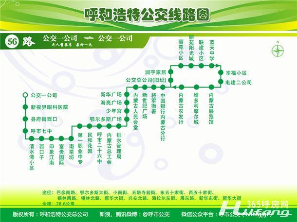 呼和浩特达尔架村有几路公交车?去五塔寺坐多少路车-图1 呼和浩特达尔架村有几路公交车?去五塔寺坐多少路车-图1