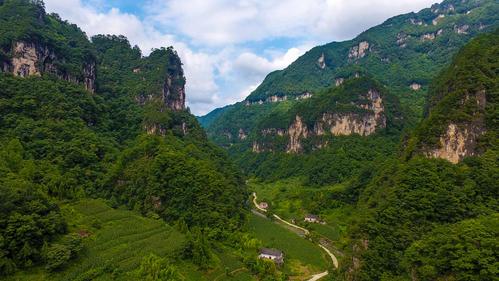 兴山榛子乡海拔多少米?兴山县在北纬多少度-图2 兴山榛子乡海拔多少米?兴山县在北纬多少度-图2