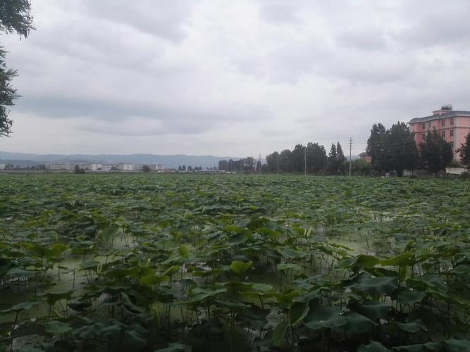 沾益地名由来?沾益到菱角多少过路费-图1 沾益地名由来?沾益到菱角多少过路费-图1