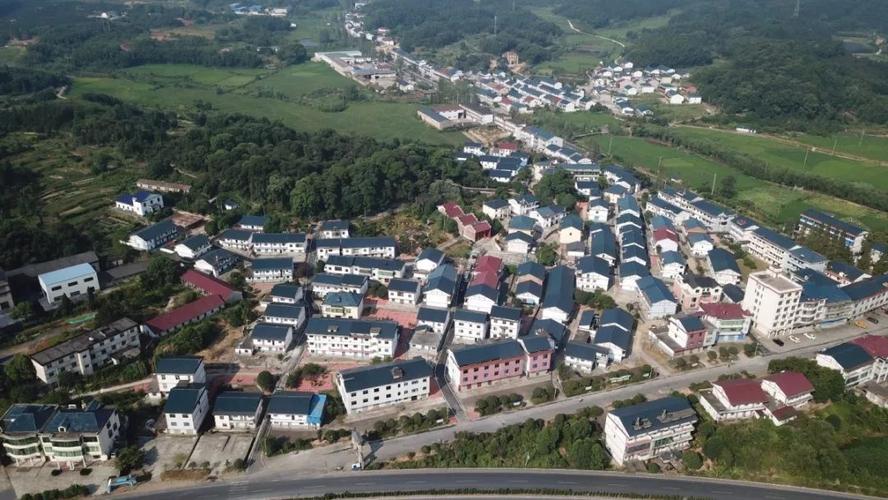 新余有哪些镇?永安市罗坊乡海拔多少-图3 新余有哪些镇?永安市罗坊乡海拔多少-图3