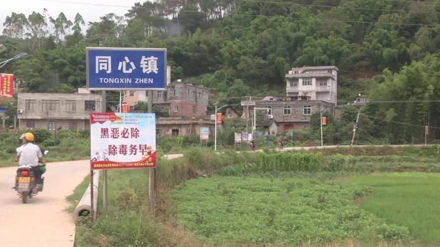 广西藤县有几个镇?藤县同心镇有多少村庄-图3 广西藤县有几个镇?藤县同心镇有多少村庄-图3