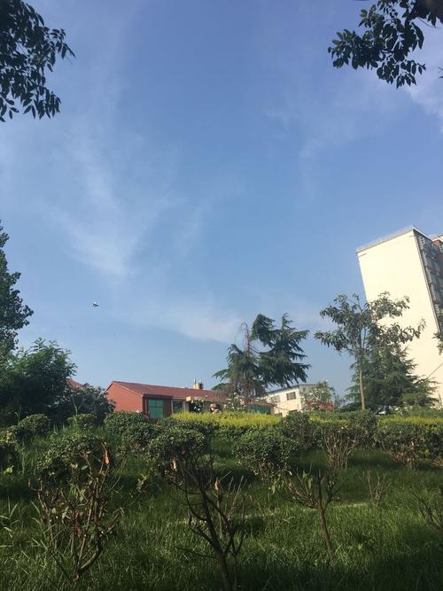 西华县的乡镇分别都是什么?周口太康今天多少度温度-图1 西华县的乡镇分别都是什么?周口太康今天多少度温度-图1