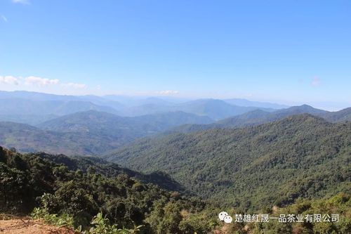 布朗山海拔?勐混镇海拔多少-图1 布朗山海拔?勐混镇海拔多少-图1