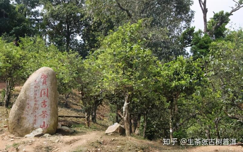 布朗山海拔?勐混镇海拔多少-图2 布朗山海拔?勐混镇海拔多少-图2