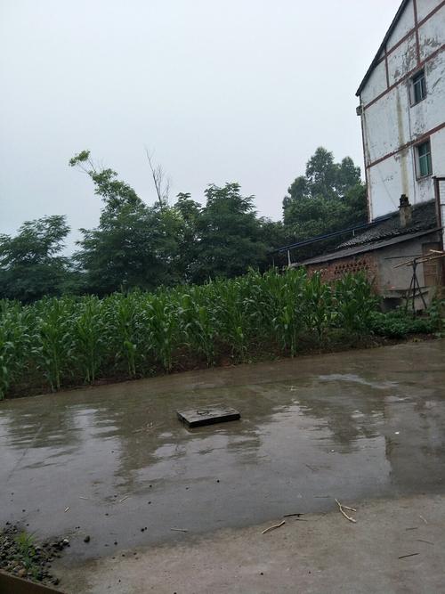 想找个环境好的小县城定居,谁能推荐一个?岳池最近10年天气最冷多少度-图1 想找个环境好的小县城定居,谁能推荐一个?岳池最近10年天气最冷多少度-图1
