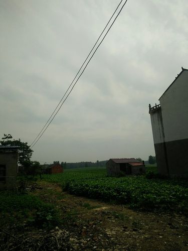 安徽省阜阳市距离亳州市、合肥市、淮北市、宿州市、涡阳市、宣城市、蚌埠市,哪个最近?今天亳州零下多少度-图1 安徽省阜阳市距离亳州市、合肥市、淮北市、宿州市、涡阳市、宣城市、蚌埠市,哪个最近?今天亳州零下多少度-图1