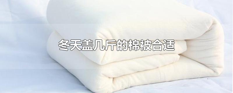 冬季供暖楼房盖几公斤的棉被?气温五度盖多少斤被子-图1 冬季供暖楼房盖几公斤的棉被?气温五度盖多少斤被子-图1
