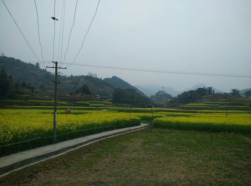 辰溪县的介绍?湖南怀化天气多少时间-图1 辰溪县的介绍?湖南怀化天气多少时间-图1