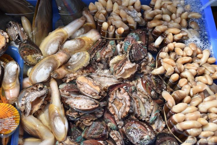 海南的海鲜有哪些?海南的海产品有多少种-图2 海南的海鲜有哪些?海南的海产品有多少种-图2