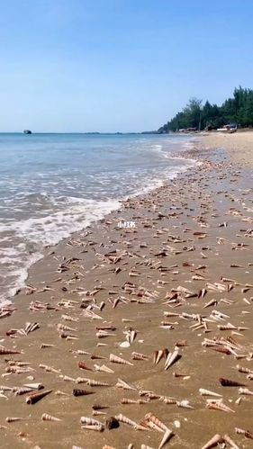 防城港夏天有多热?广西防城港现在的温度是多少度-图3 防城港夏天有多热?广西防城港现在的温度是多少度-图3