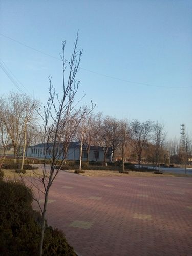 寿光有火车站吗?寿光市2020年最低气温多少-图1 寿光有火车站吗?寿光市2020年最低气温多少-图1